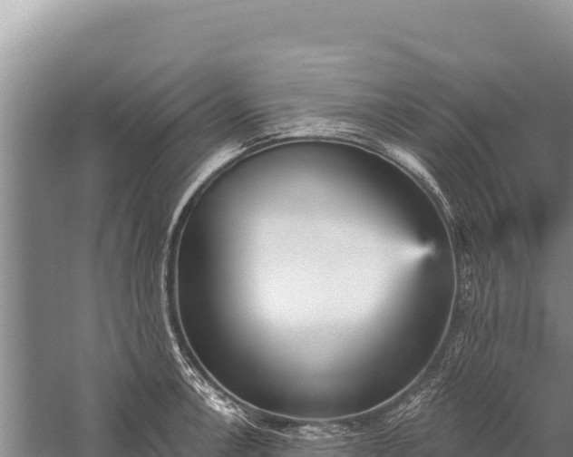 X0000059241138200510211555