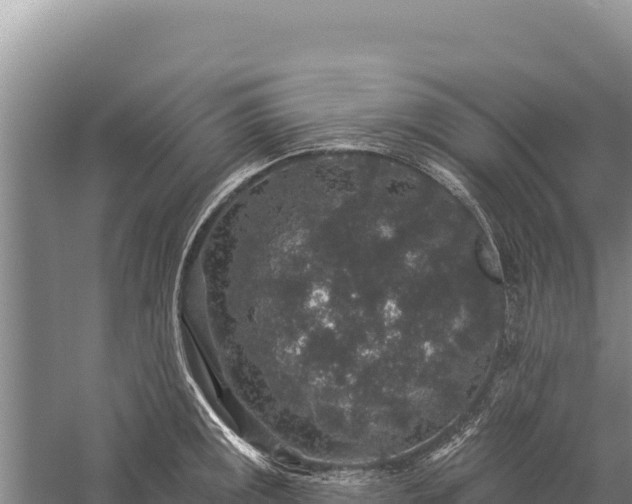 X0000059241141200510211555