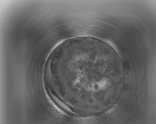 X0000059241142200510211555