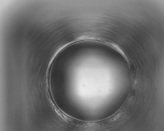 X0000059241148200510211555