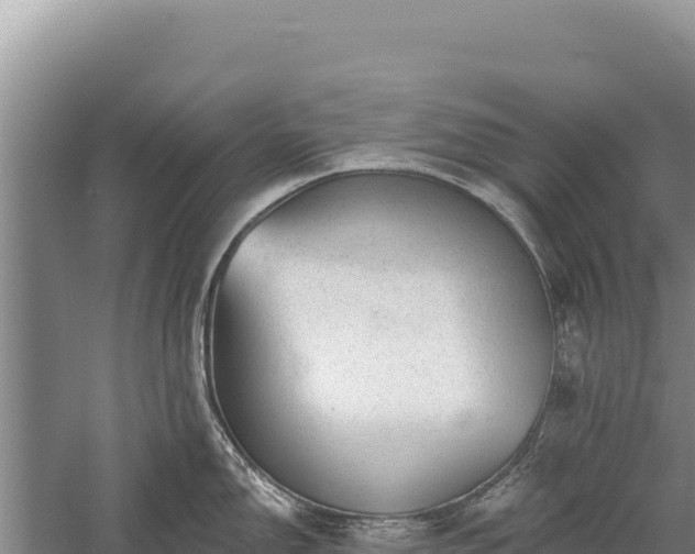 X0000059241150200510211555