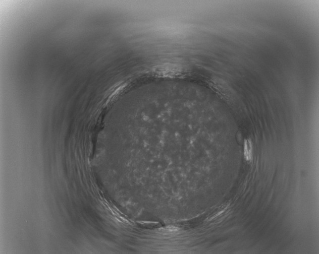 X0000059241155200510211555