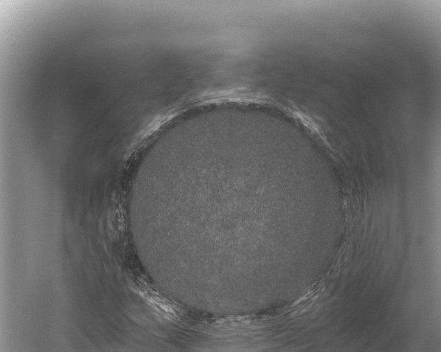 X0000059241159200510211555