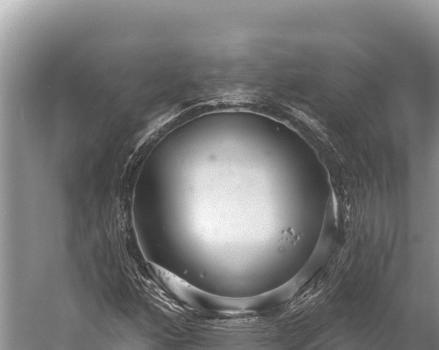 X0000059241160200510211555