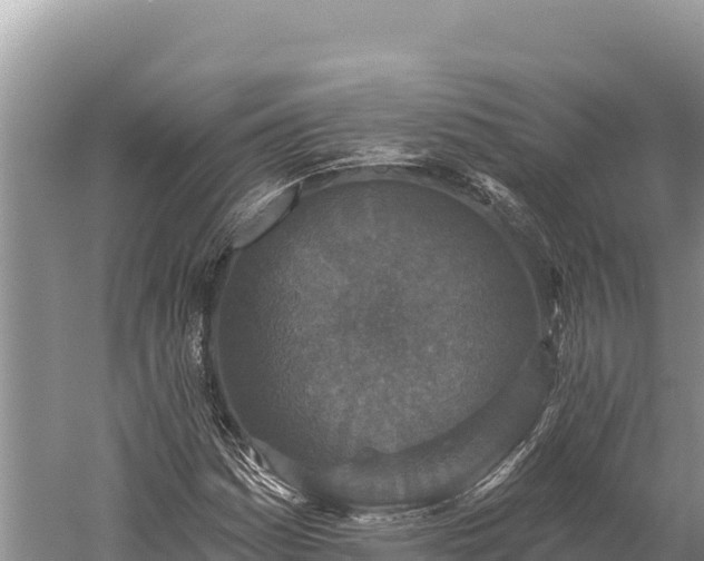 X0000059241161200510211554