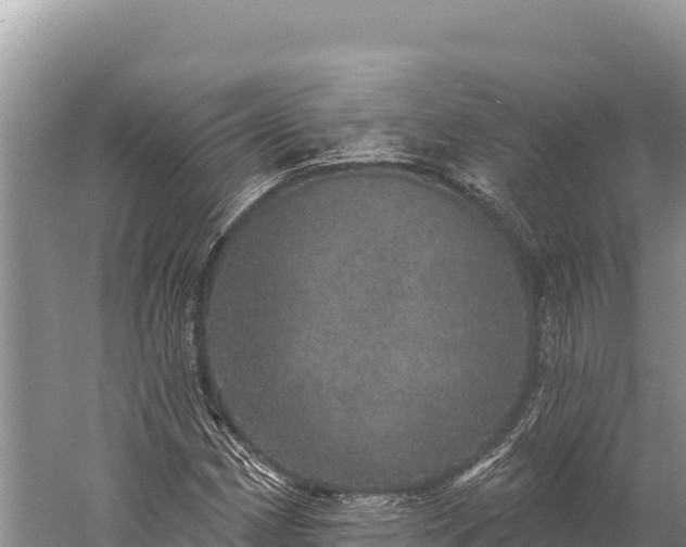 X0000059241162200510211554