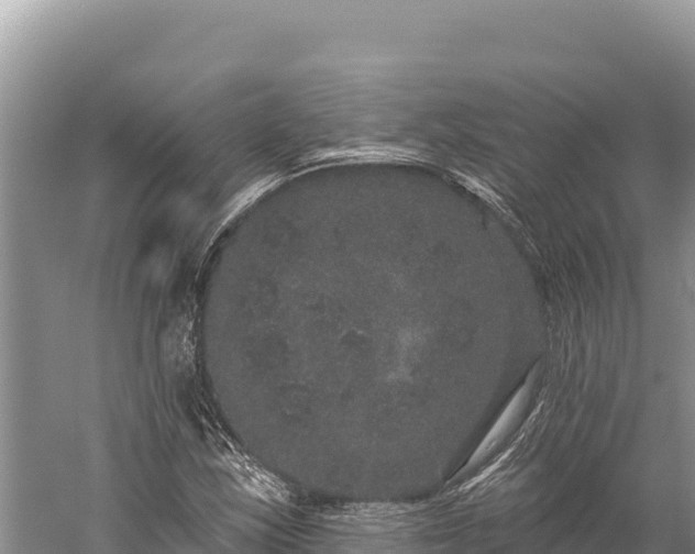 X0000059241163200510211554