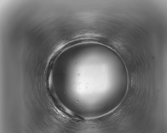 X0000059241164200510211554