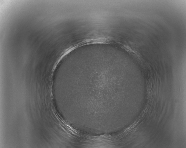 X0000059241166200510211554