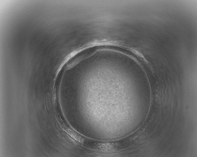 X0000059241167200510211554