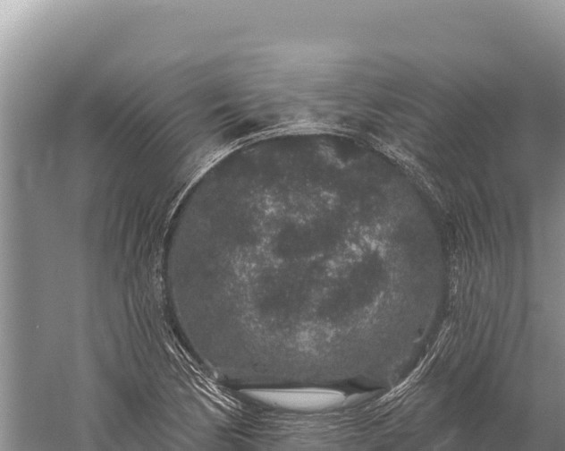 X0000059241170200510211554