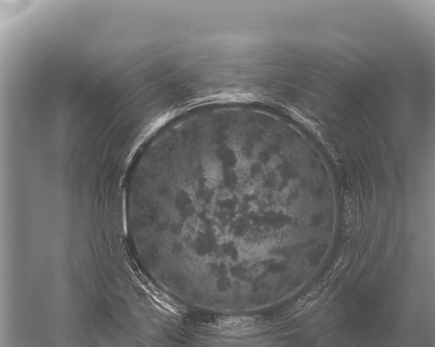 X0000059241171200510211554