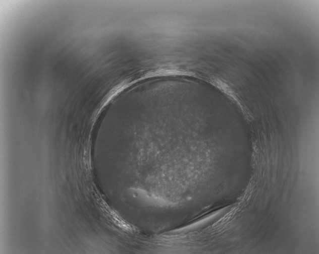 X0000059241173200510211554