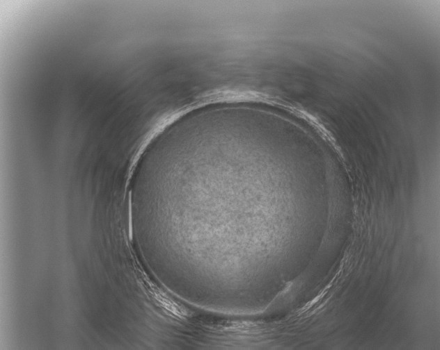 X0000059241175200510211554