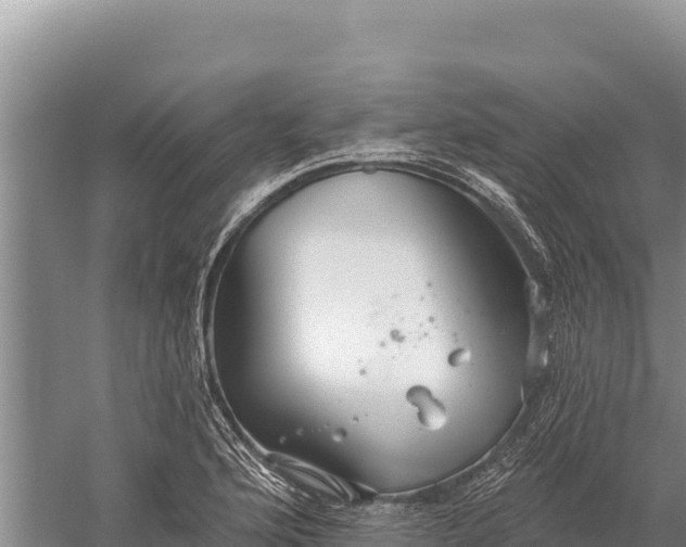 X0000059241176200510211554