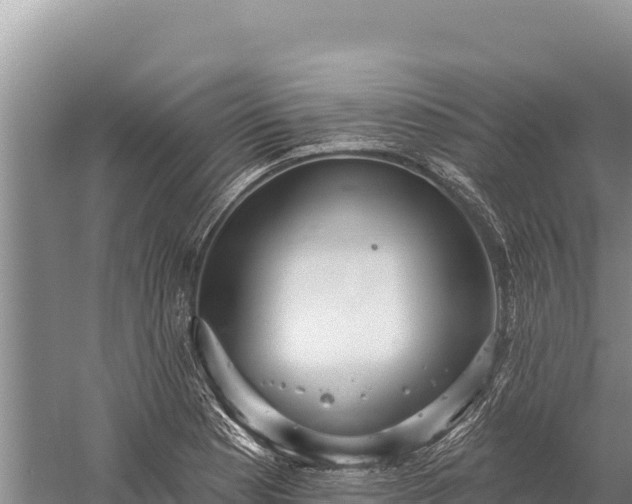 X0000059241177200510211554