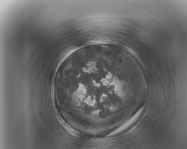 X0000059241179200510211554