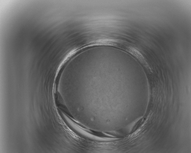 X0000059241180200510211554