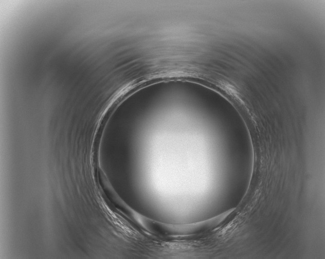 X0000059241181200510211554