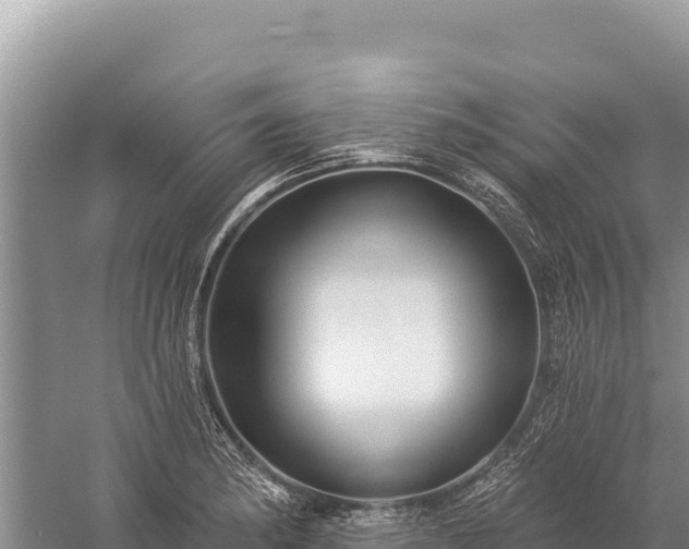 X0000059241182200510211554