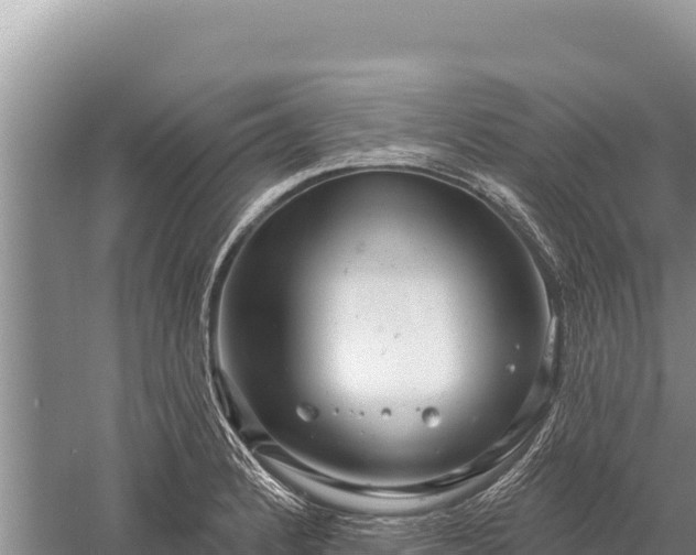 X0000059241184200510211554