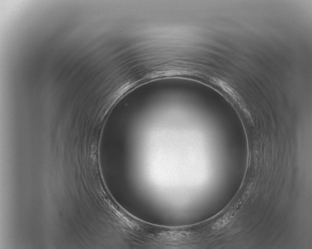 X0000059241185200510211554