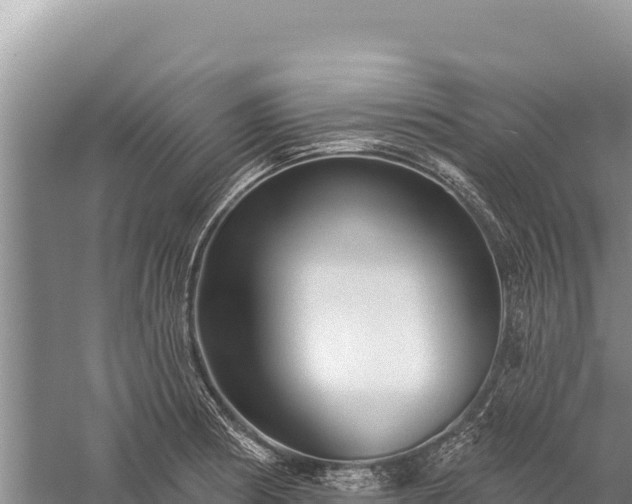 X0000059241186200510211554