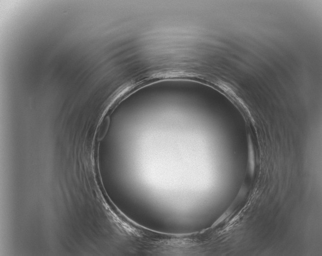 X0000059241189200510211554