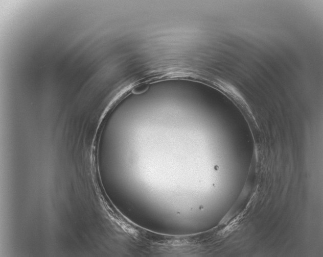 X0000059241190200510211554