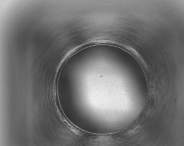 X0000059241191200510211554