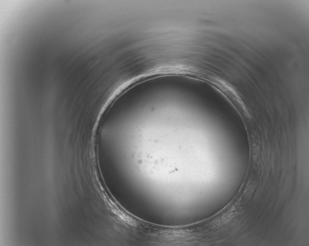 X0000059241192200510211554