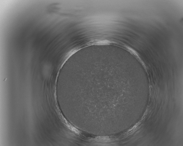 X0000059241194200510211554