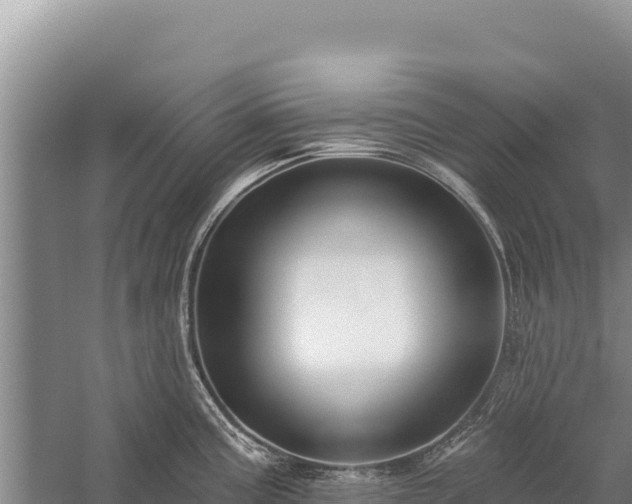 X0000059241195200510211554