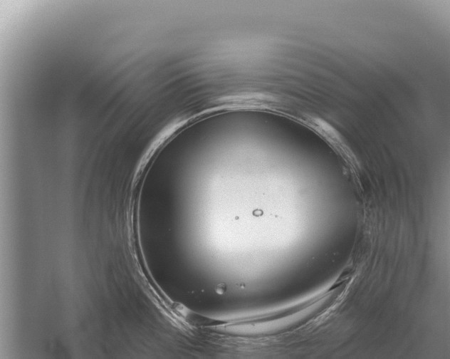 X0000059241196200510211554