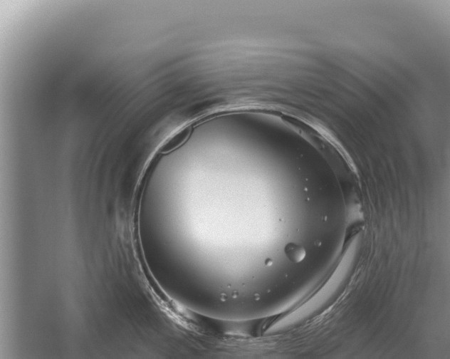 X0000059241197200510211554