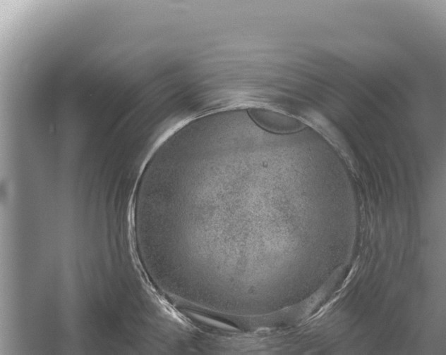 X0000059241198200510211554