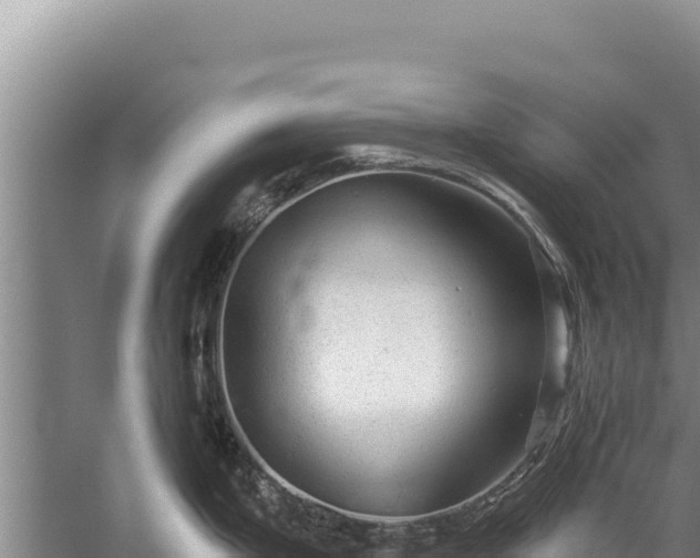 X0000059241199200510211554