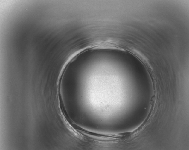 X0000059241200200510211554