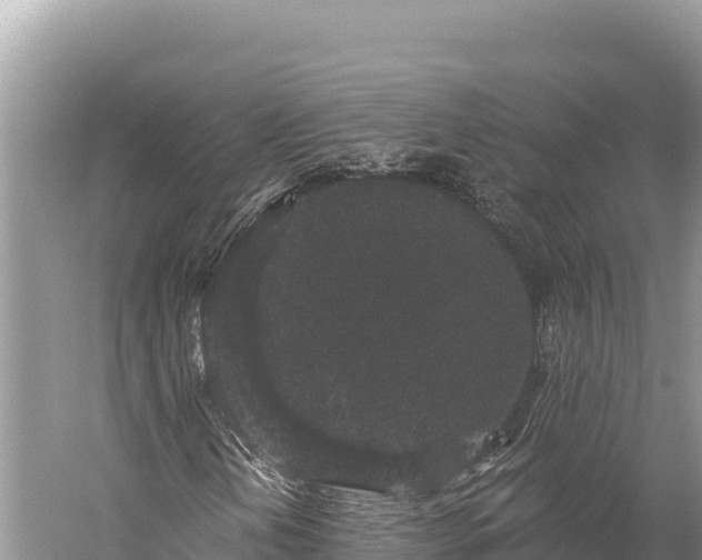 X0000059241202200510211553