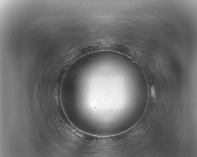 X0000059241203200510211553