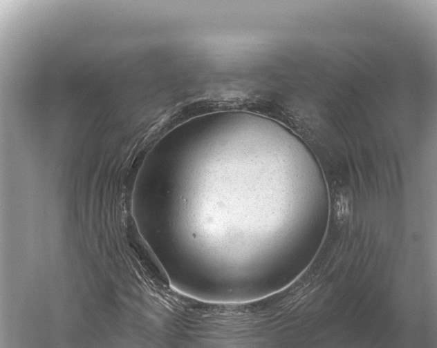 X0000059241204200510211553