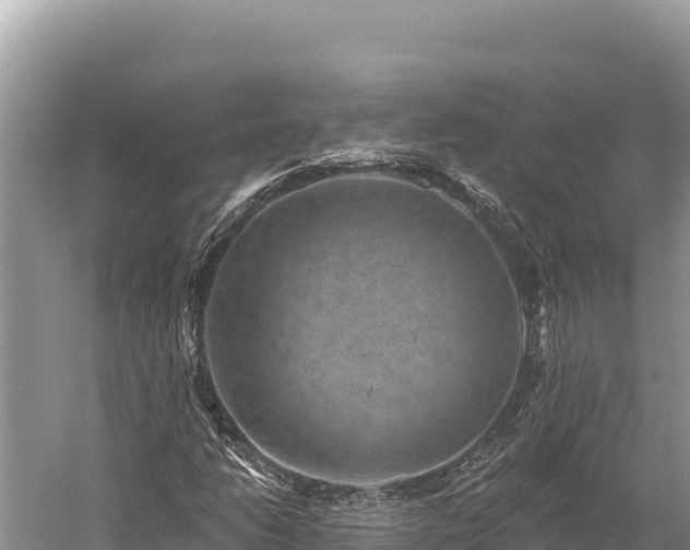 X0000059241206200510211553