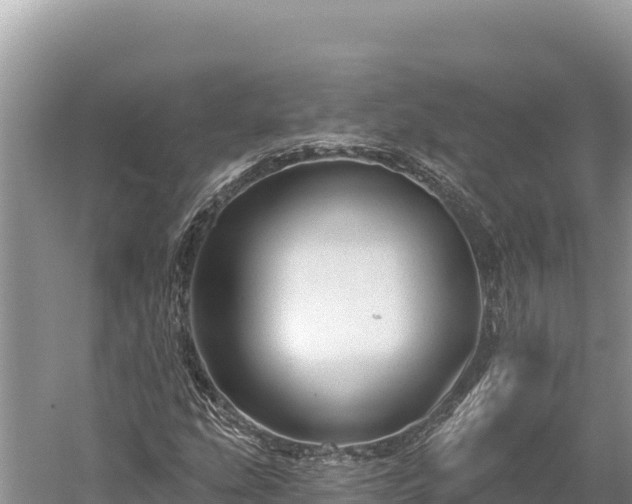 X0000059241207200510211553