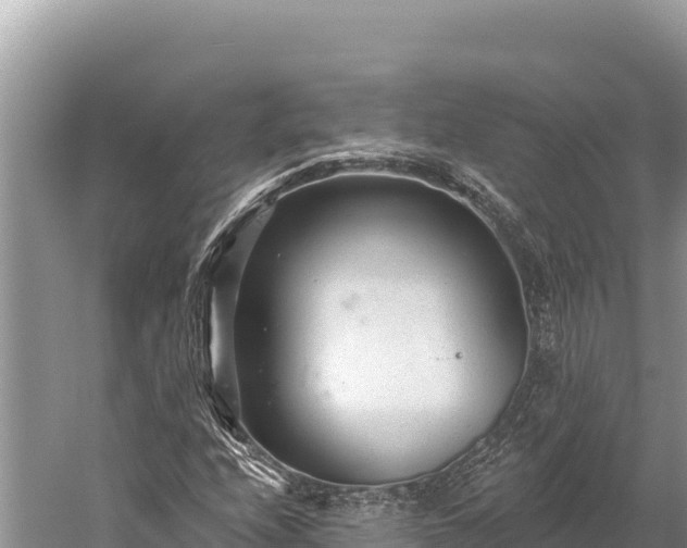 X0000059241208200510211553