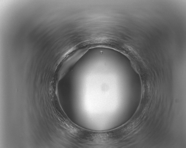 X0000059241210200510211553