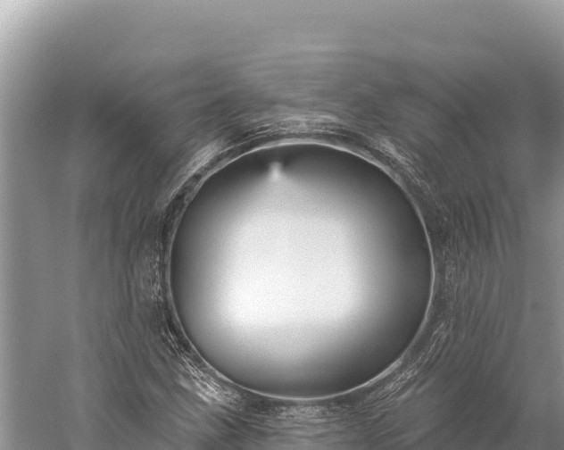 X0000059241211200510211553