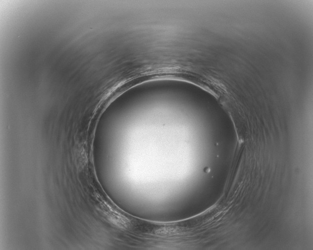 X0000059241212200510211553