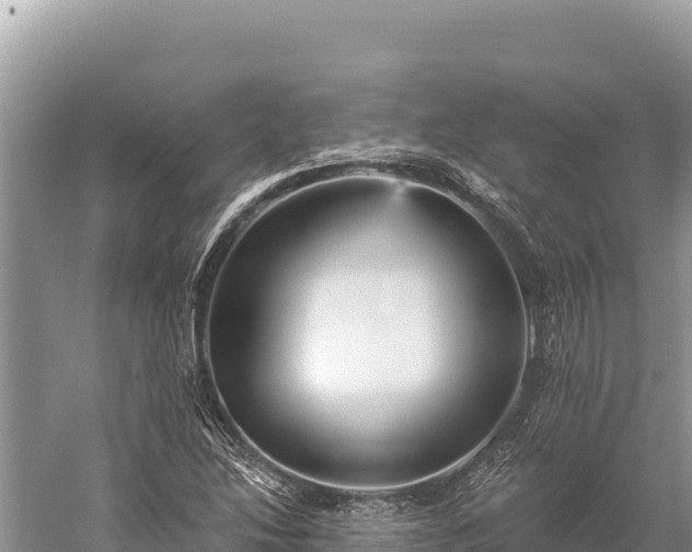 X0000059241214200510211553