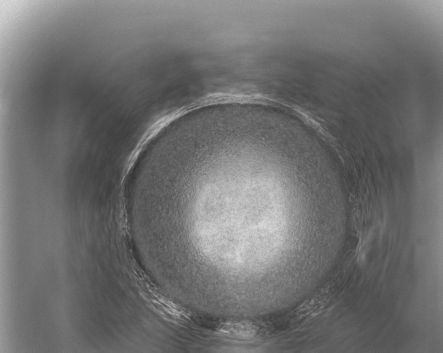 X0000059241215200510211553