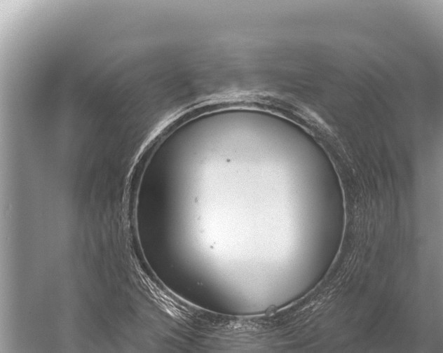 X0000059241216200510211553